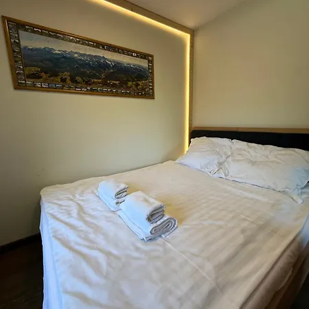 Premium , Jacuzzi , Sauna, Darmowy Parking, Kominki W Apartamentach, Widok Na Gory * Biały Dunajec